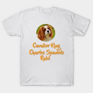 Cavalier King Charles Spaniels Rule! T-Shirt